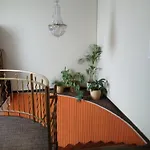 Appartement Sedmikraska