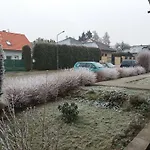 Sedmikraska *