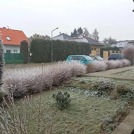 Sedmikraska