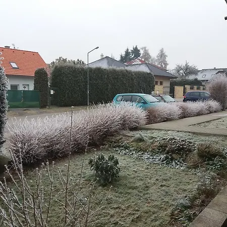 Sedmikráska *
