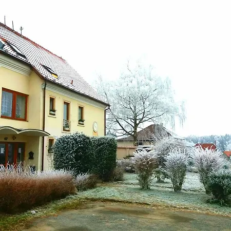 Sedmikráska Tehovec